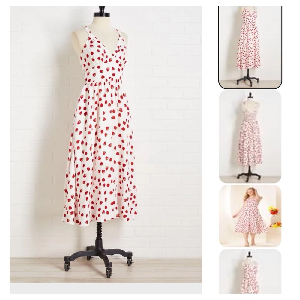 NWT Versona Strawberry Festival Dress xsmall
